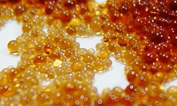 Ion Exchange Resin